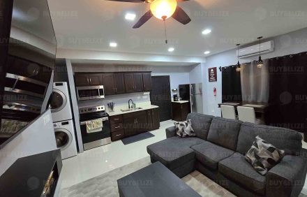 Embassy Apartment 202